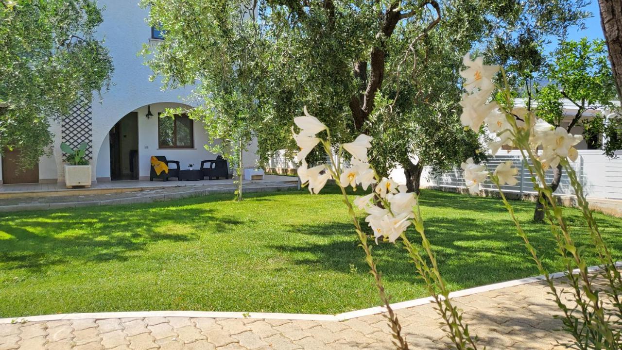 Hotel Residence Torre Del Porto Матината Екстериор снимка